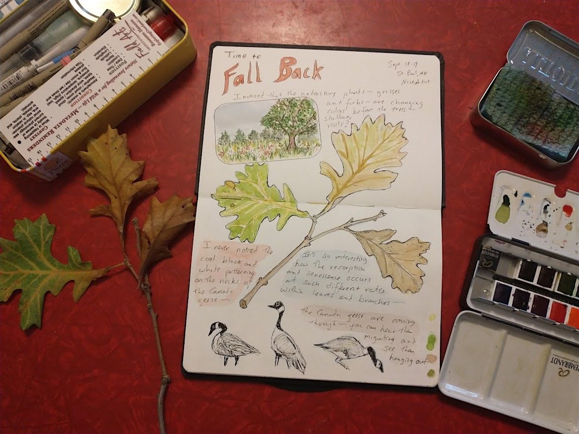 Nature Journaling: A Drop-in Session at the Bell
