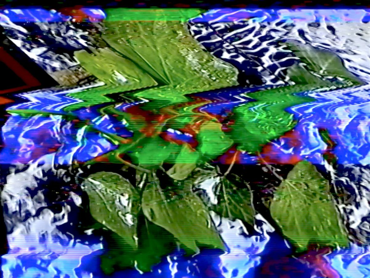 Fluid Earth Conference