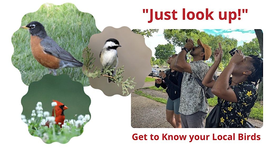 Urban Birding