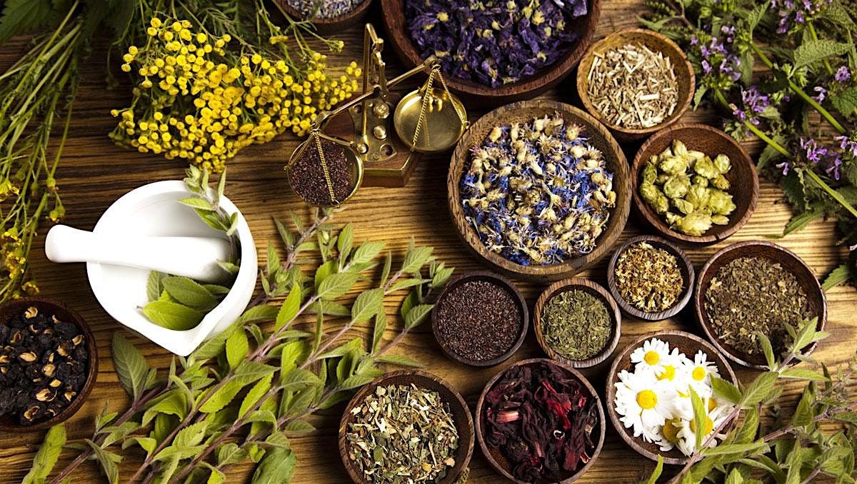 CULINARY WELLNESS