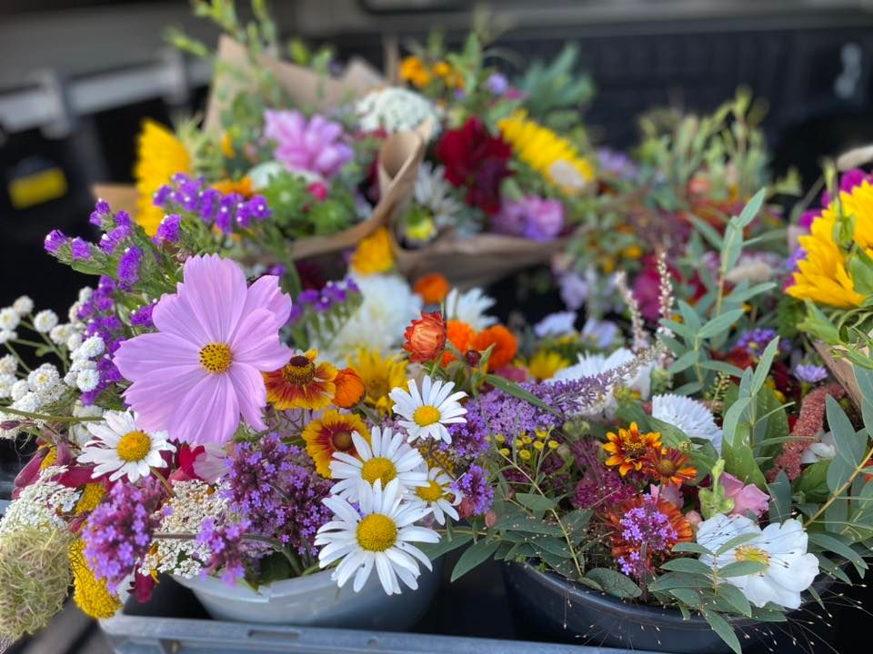 Grow Your Own Cut Flowers