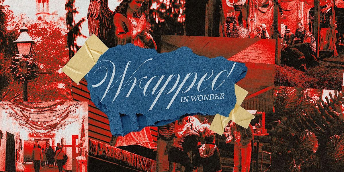 Wrapped In Wonder