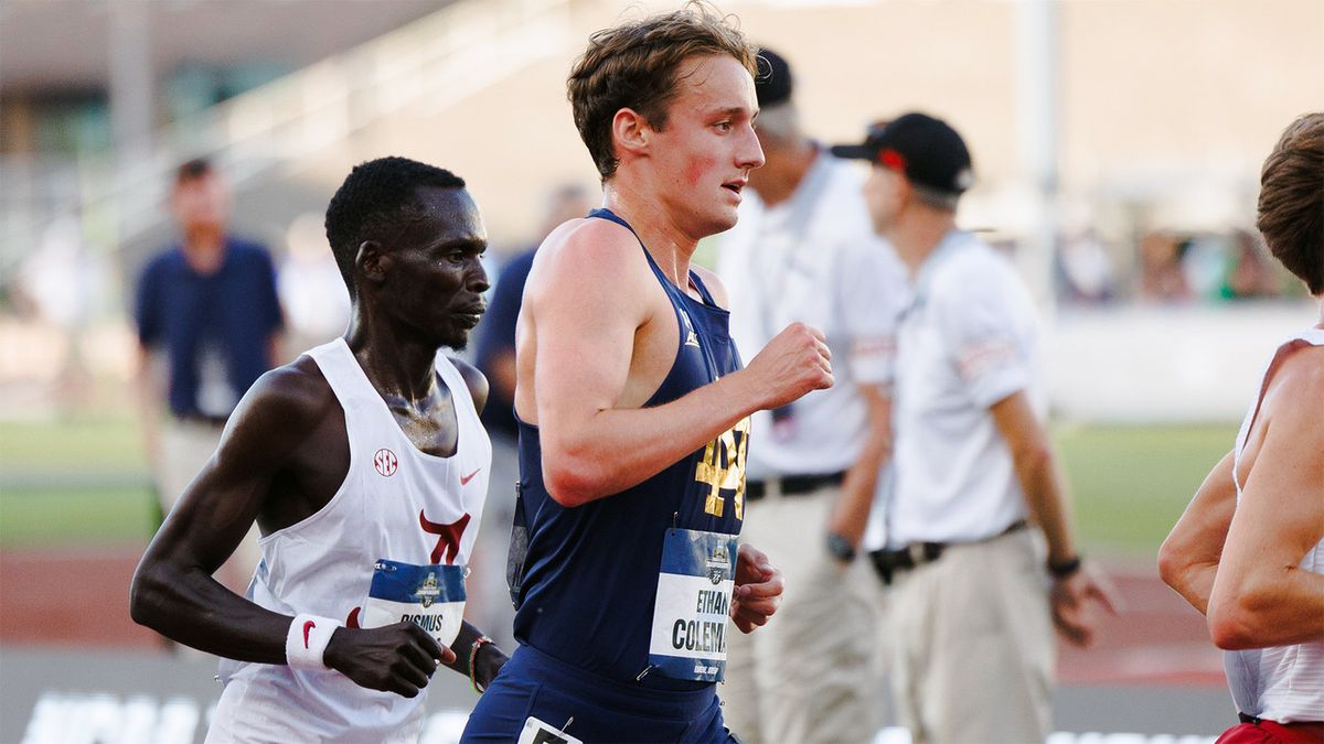 Parking Notre Dame Fighting Irish at Louisville Cardinals Womens Basketball
