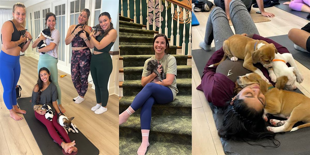 Puppies & Pilates with Mercy Full Project at Sweet Soul