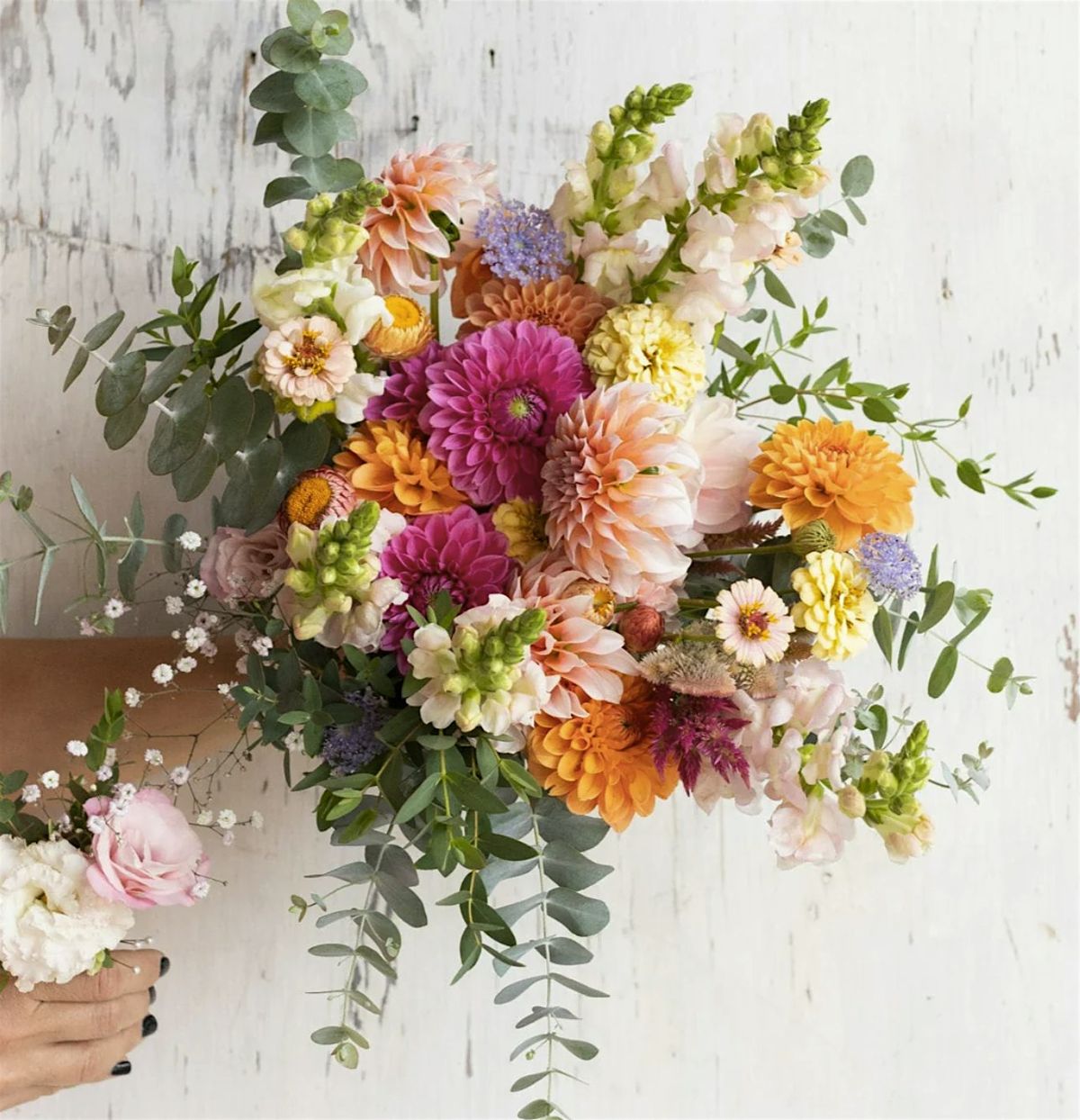 Dahlia Design Workshop