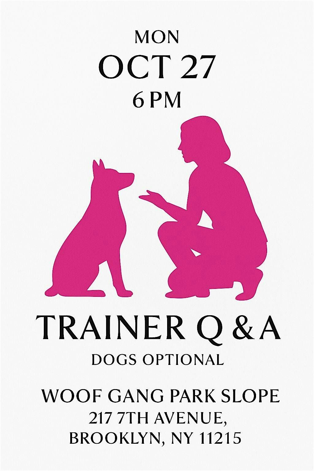 WOOF GANG Park Slope Presents Trainer Q & A with Brooklyn Pup