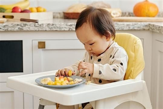 Introducing Solids Workshop (Mon 8th Dec 2025)  10.00 - 11.30 AM