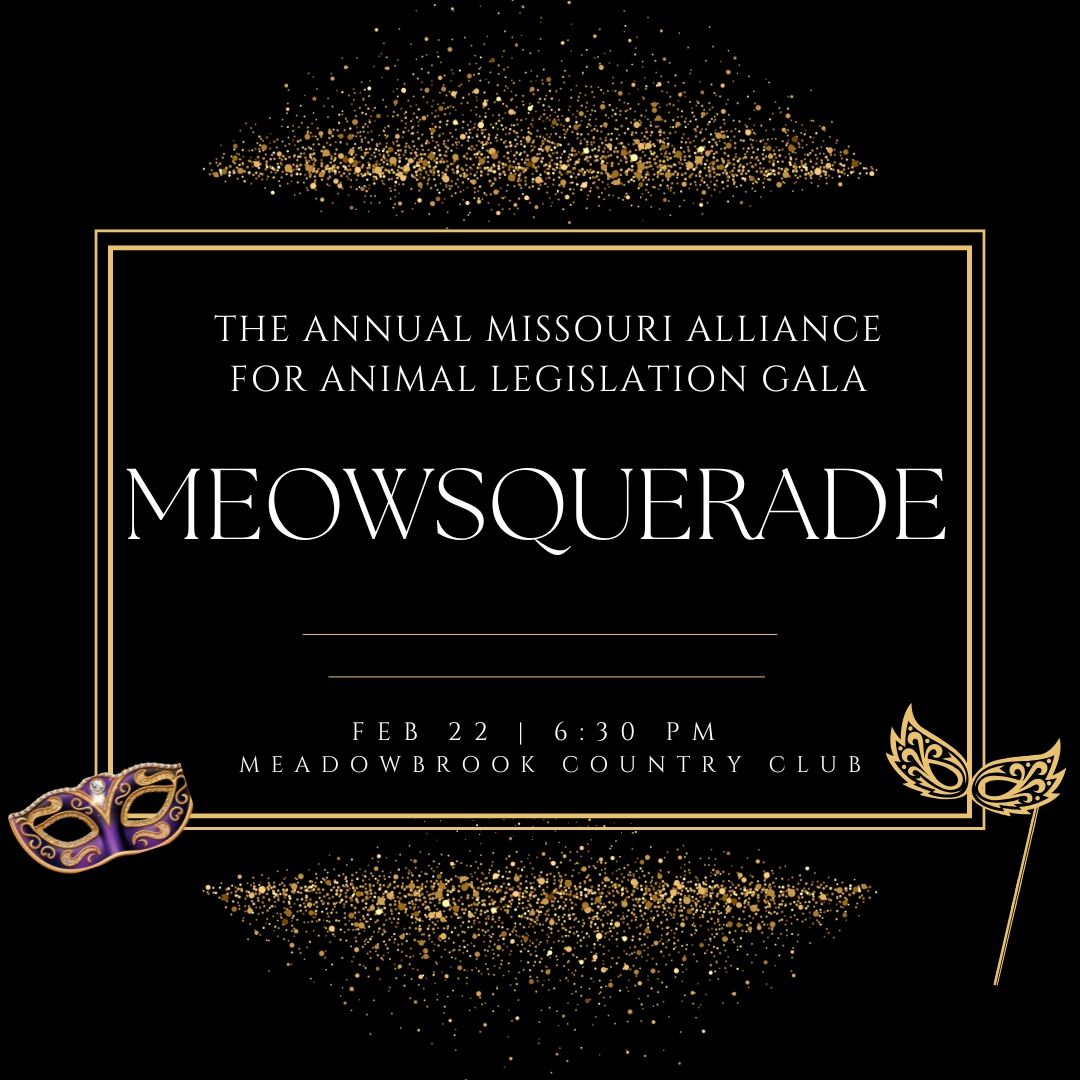 Missouri Alliance for Animal Legislation\u2019s Annual Open Your Heart Gala