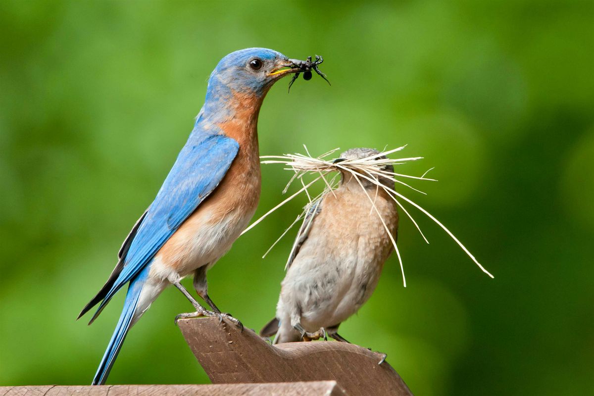 First Saturday Bird Bingo