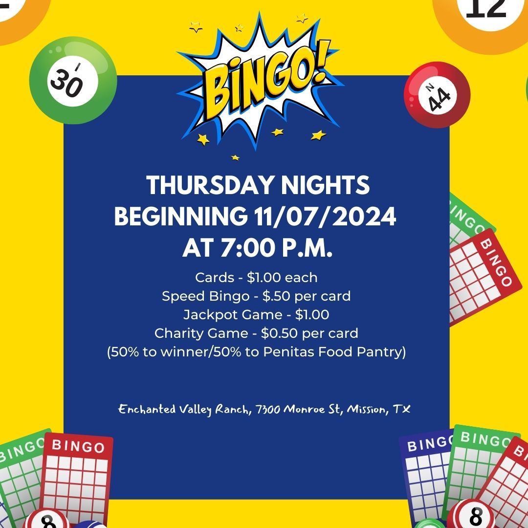 Bingo Night