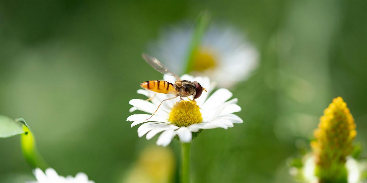 Tri-Village Natural Pollinator Garden Tour