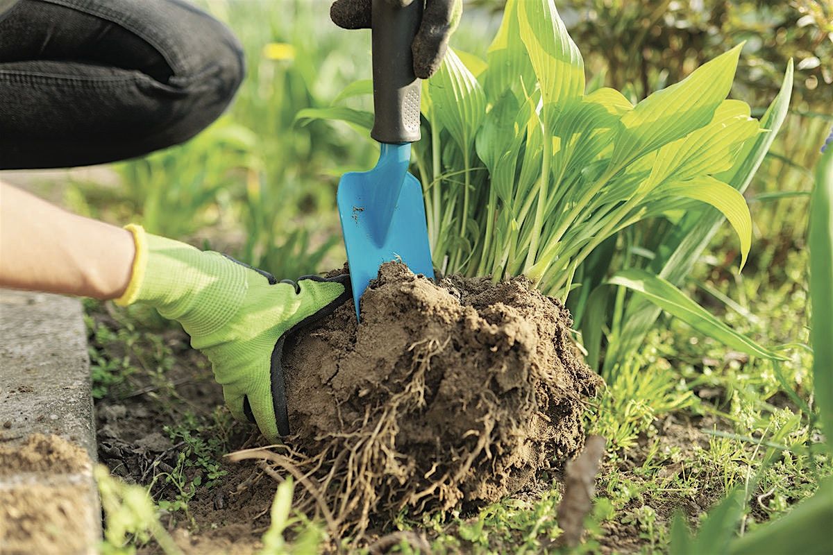 Lexington County Master Gardener Volunteers Plant Sale & Country Store