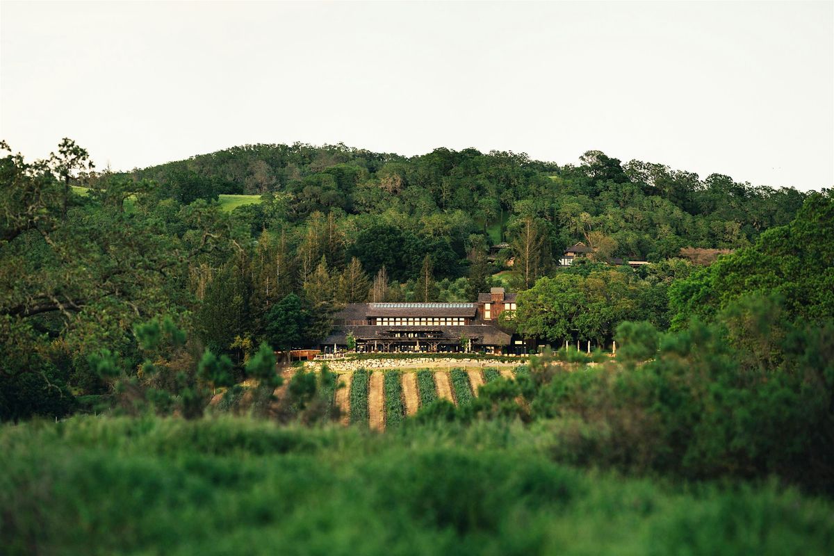 Dig Truffles? Foodie Experience & Truffle Lunch at Joseph Phelps