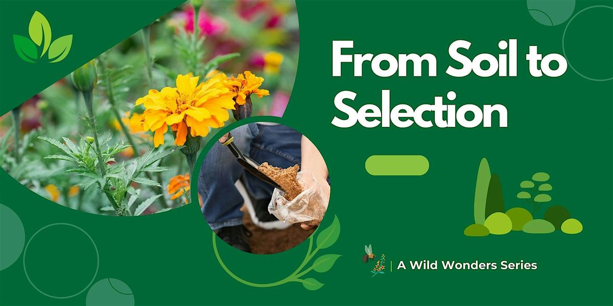 Wild Wonders: From Soil to Selection