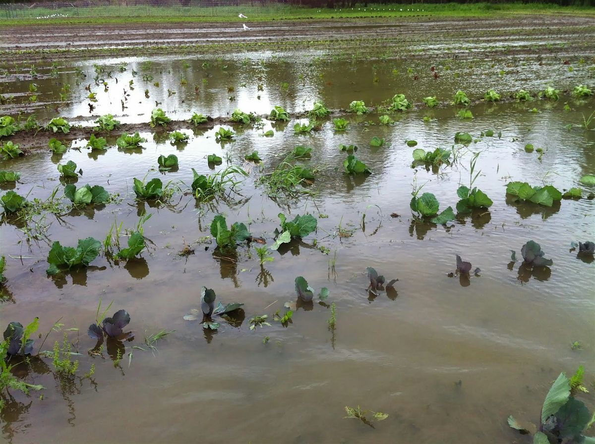 Disaster Risk Management Training for Farmers (Part 1 of 2)