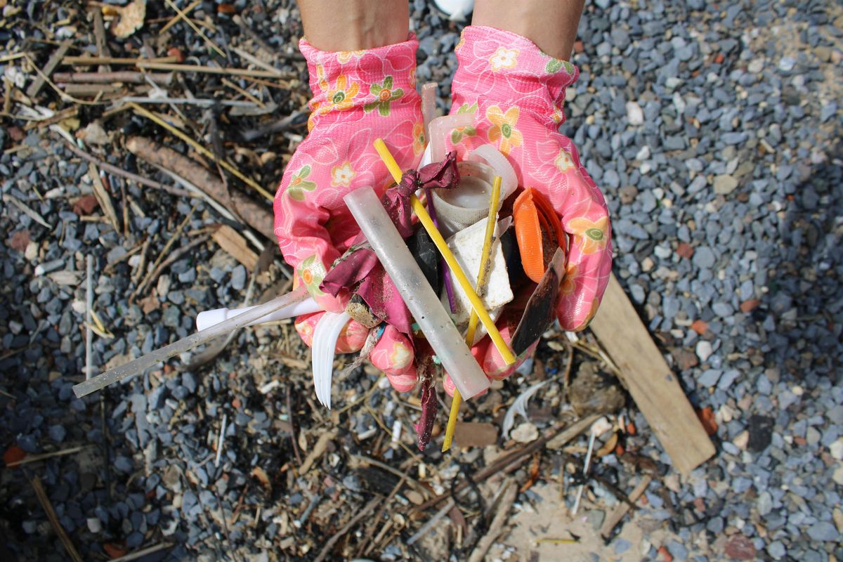 Coastal Cleanup