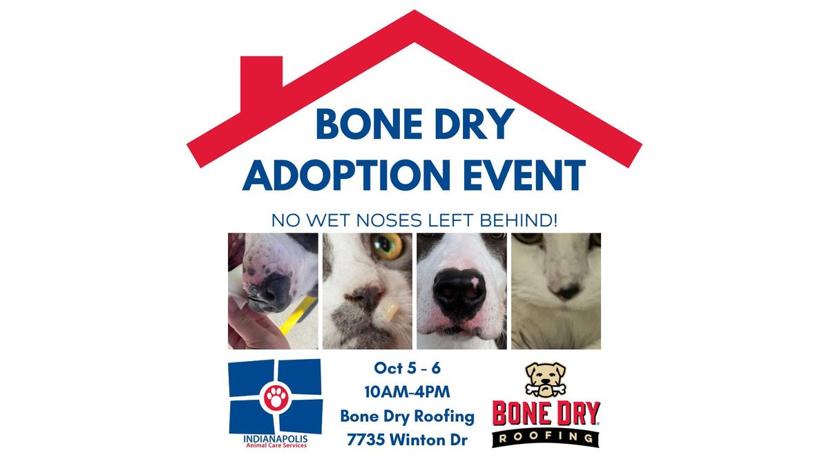 Bone Dry Adoption Event - No Wet Noses Left Behind!