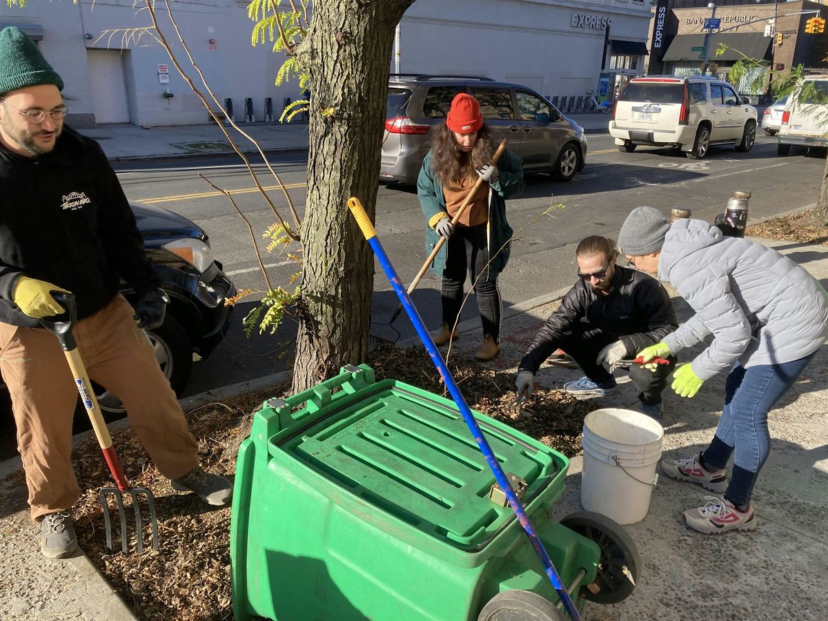 Street Tree Care w\/ Little Manila Park