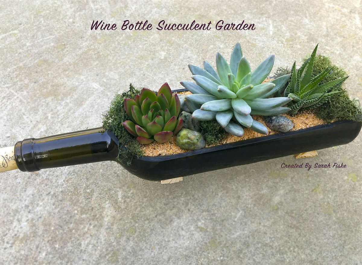 Plant Nite: Make a Succulent Terrarium