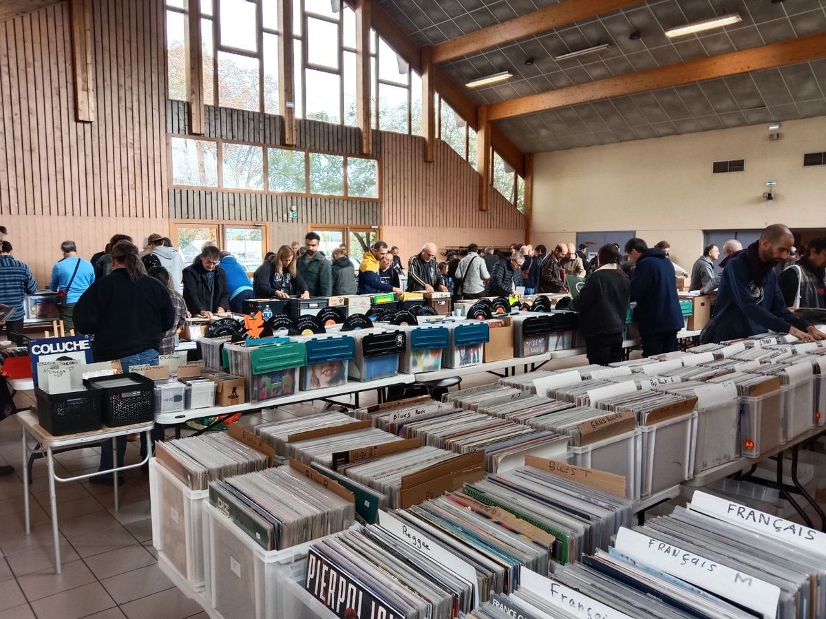 bourse aux disques vinyles et cd, bd , dvd film