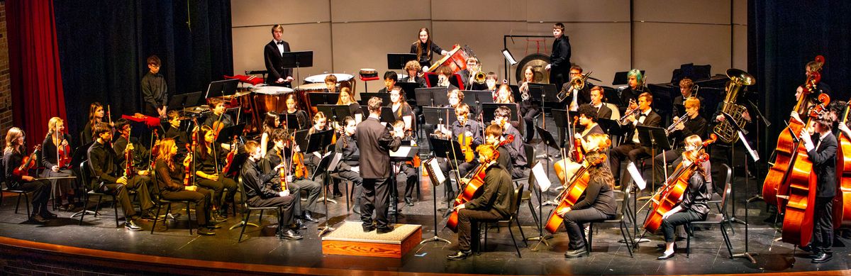 Youth Orchestra Spring Concert