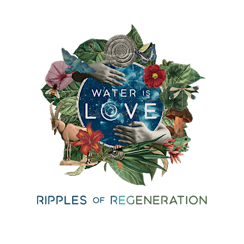 "Water Is Love: Ripples of Regeneration" documentary screening