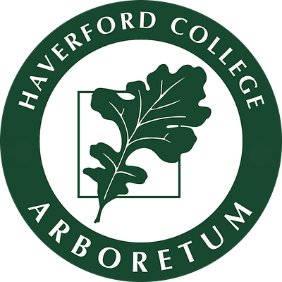 Haverford College Arboretum