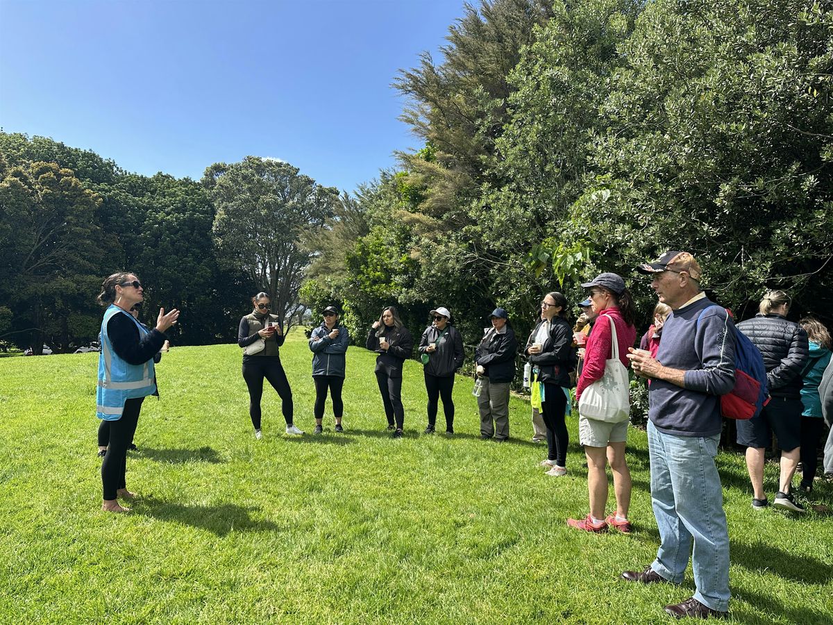 Guided Walk: R\u014dngoa M\u0101ori