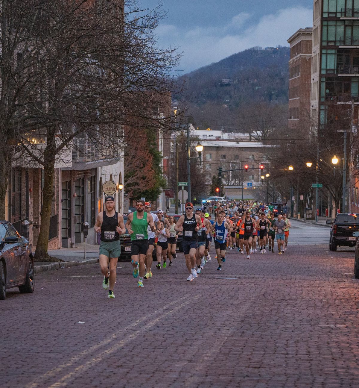 Asheville Marathon & Half