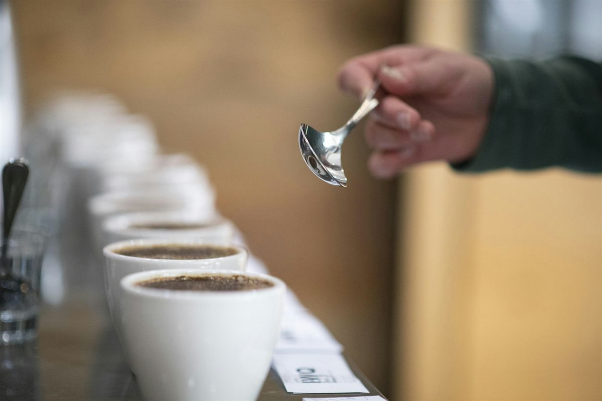 Calibration Cupping  - October 22, 2025