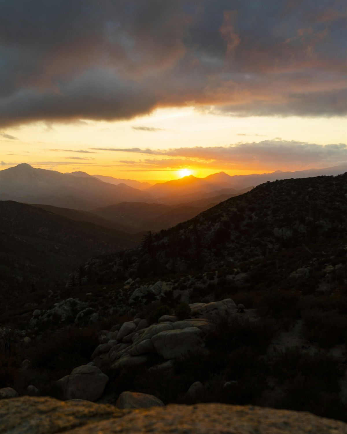 Meditation in Nature with John Kovalsky