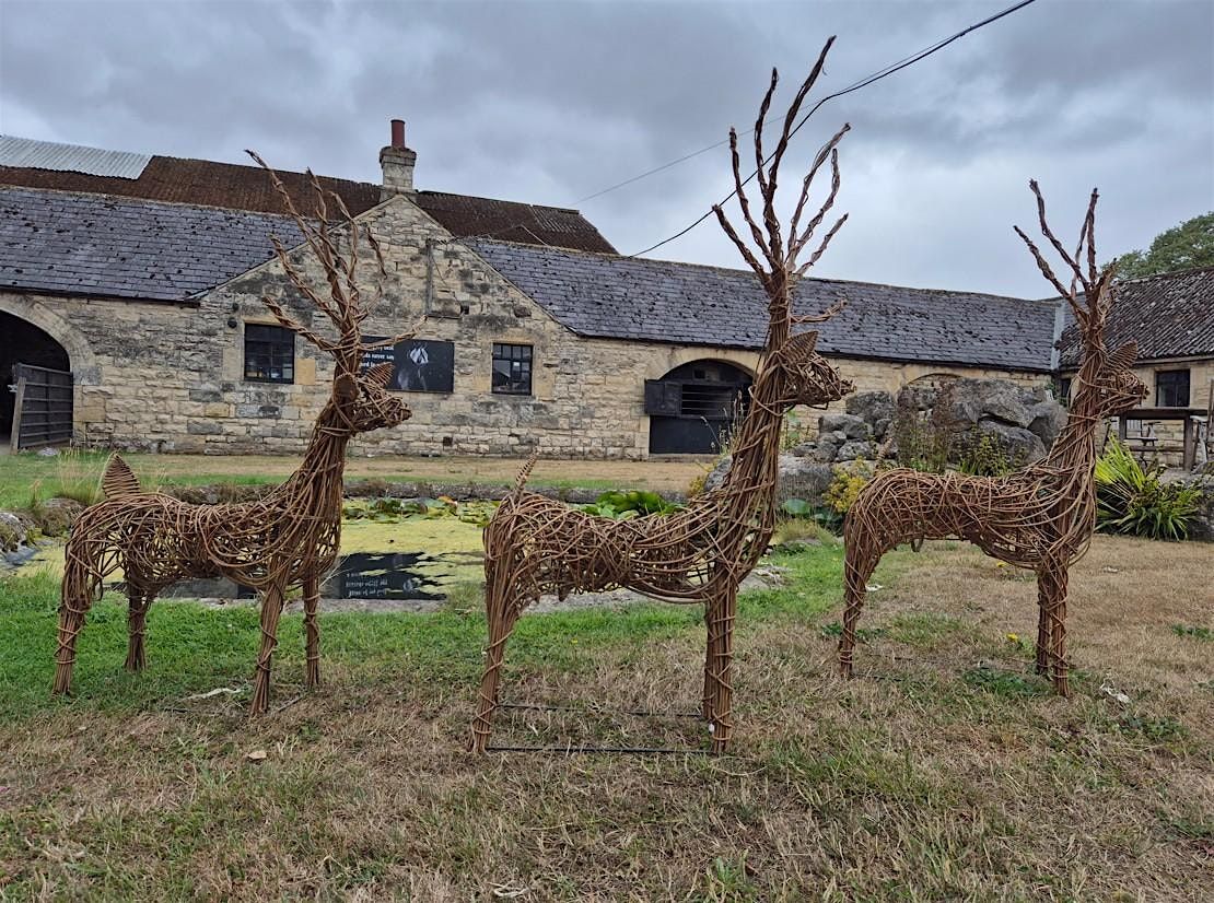 Reindeer Willow Weaving Workshop