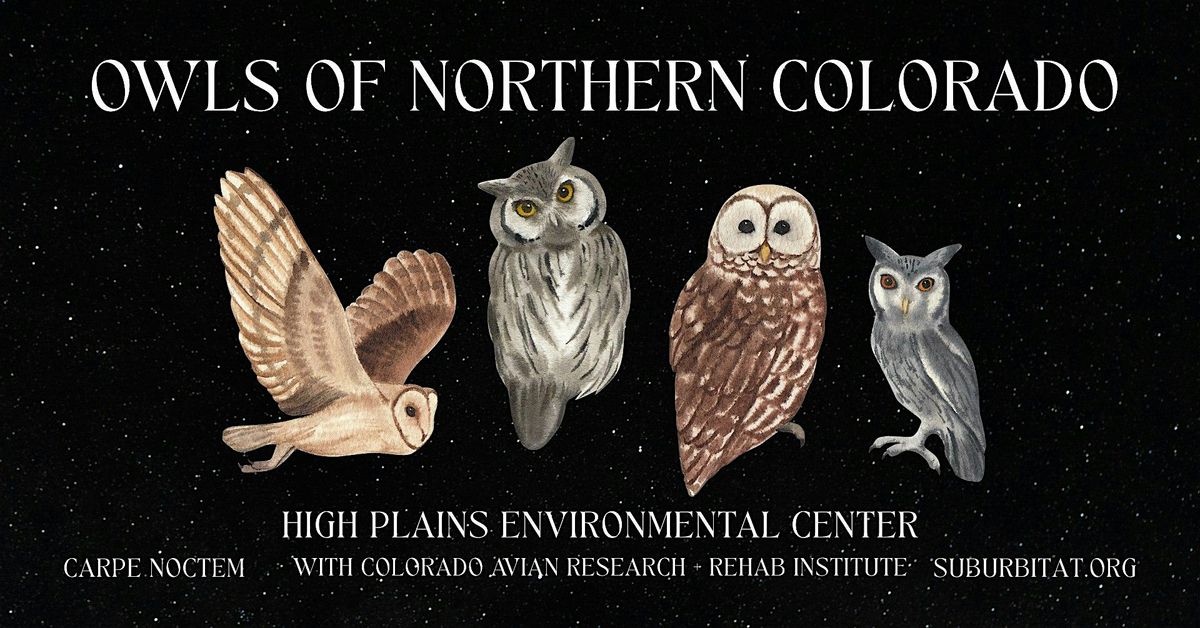Owls of Northern Colorado