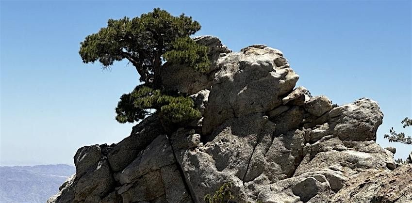Discovery Hike, Secrets of the Backcountry