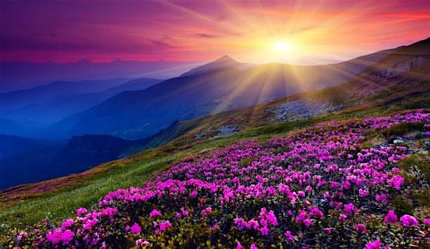 Clinical Hypnosis for Joy, Energy and Vitality (IN PERSON)