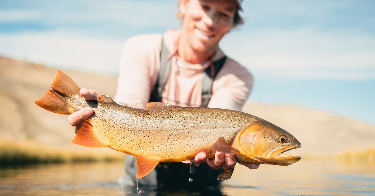 LOH Presents: Fly Fishing Film Tour