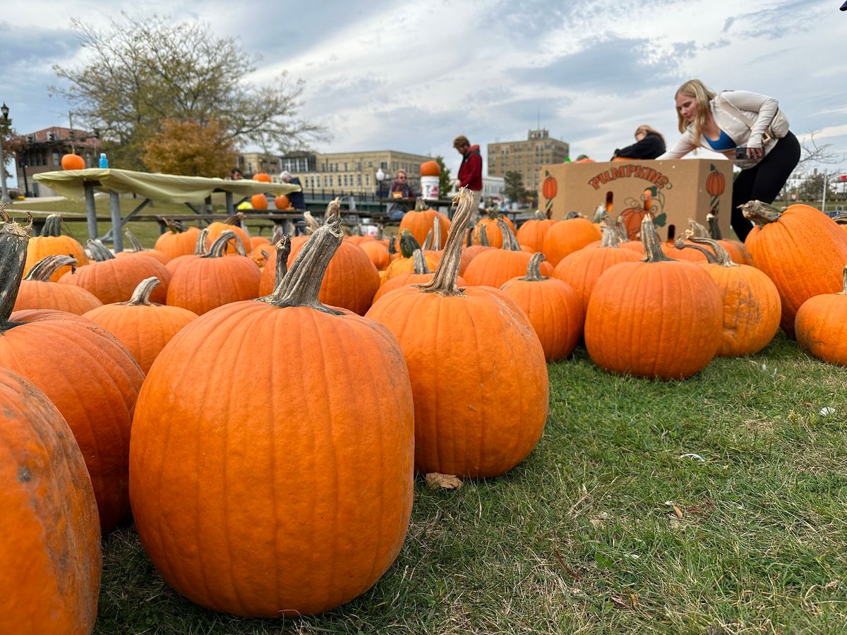 Pumpkin Palooza