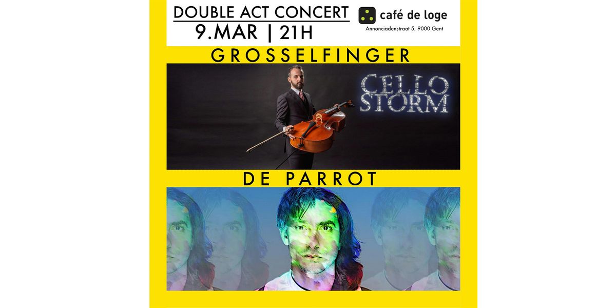 Cello Storm: A Live Looping Experience in Gent