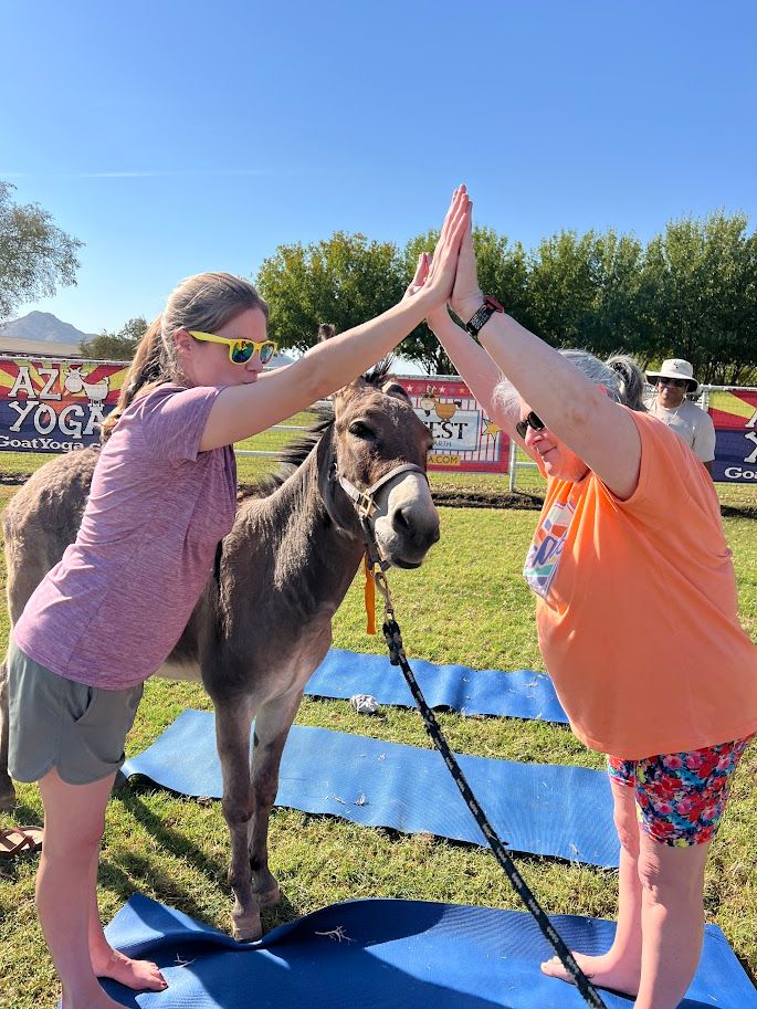 Fairytale DONKEY, Goat and Alpaca Yoga 10am 11\/16