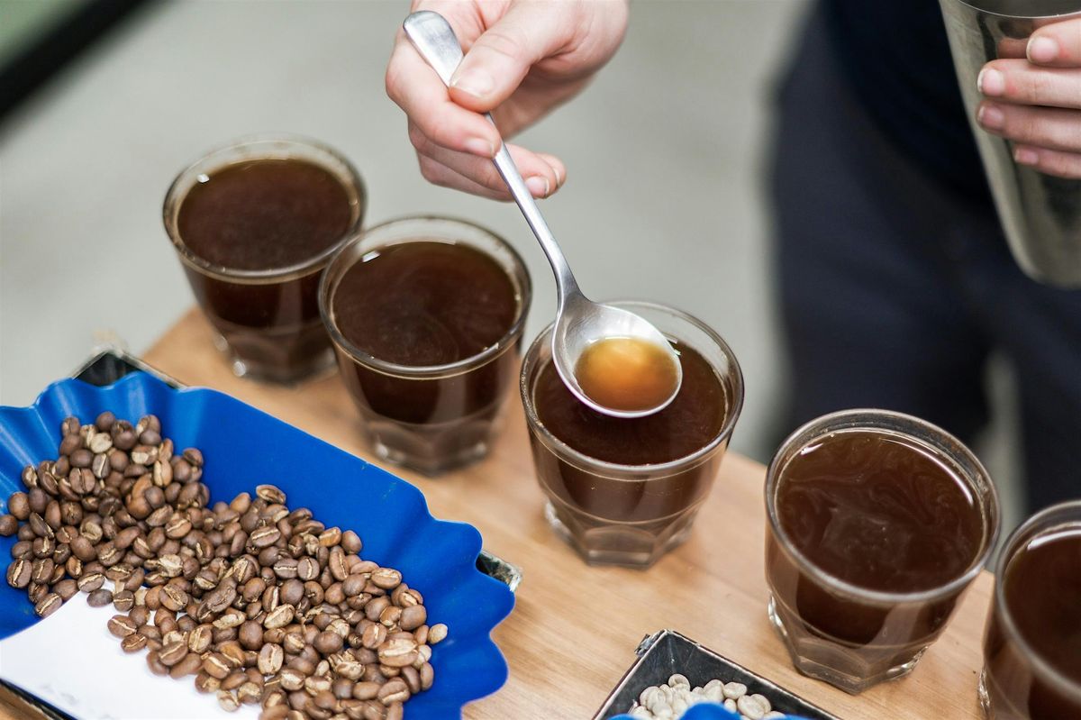 Cupping Colombians with Primavera Green Coffee