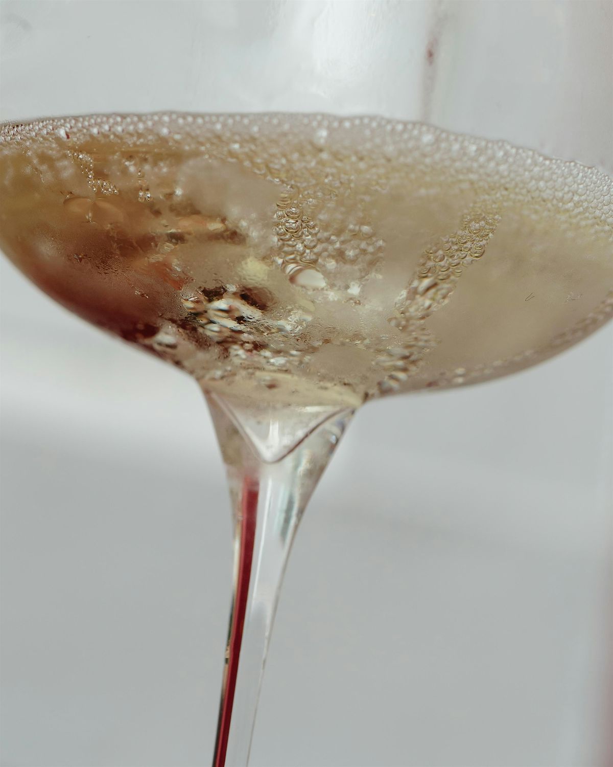 PRESTIVO Grand Opening Tasting & Warehouse Sale