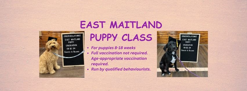 East Maitland Puppy Class