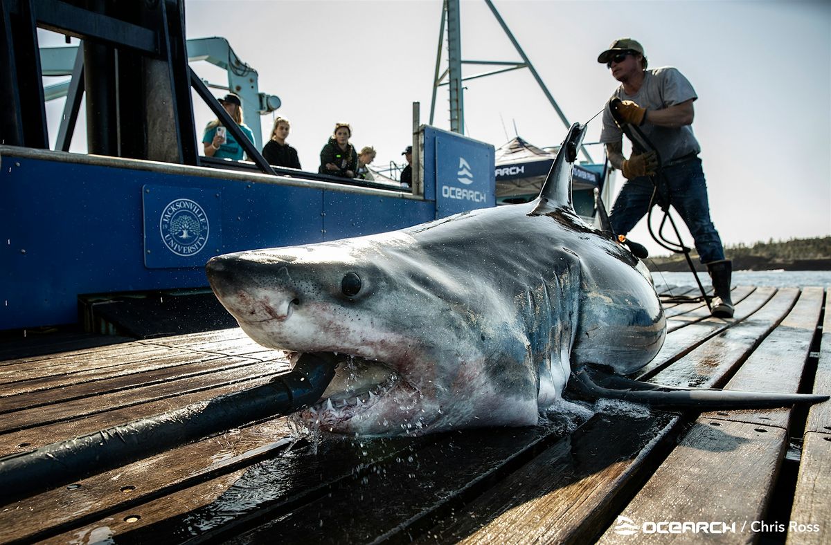 Scenic Visions: Mayport OCEARCH and Ferry Tour