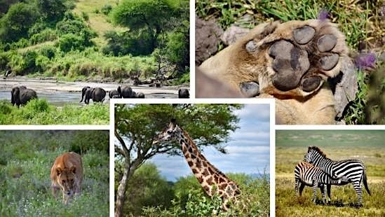 Okavango Delta, Victoria Falls, and Hwange