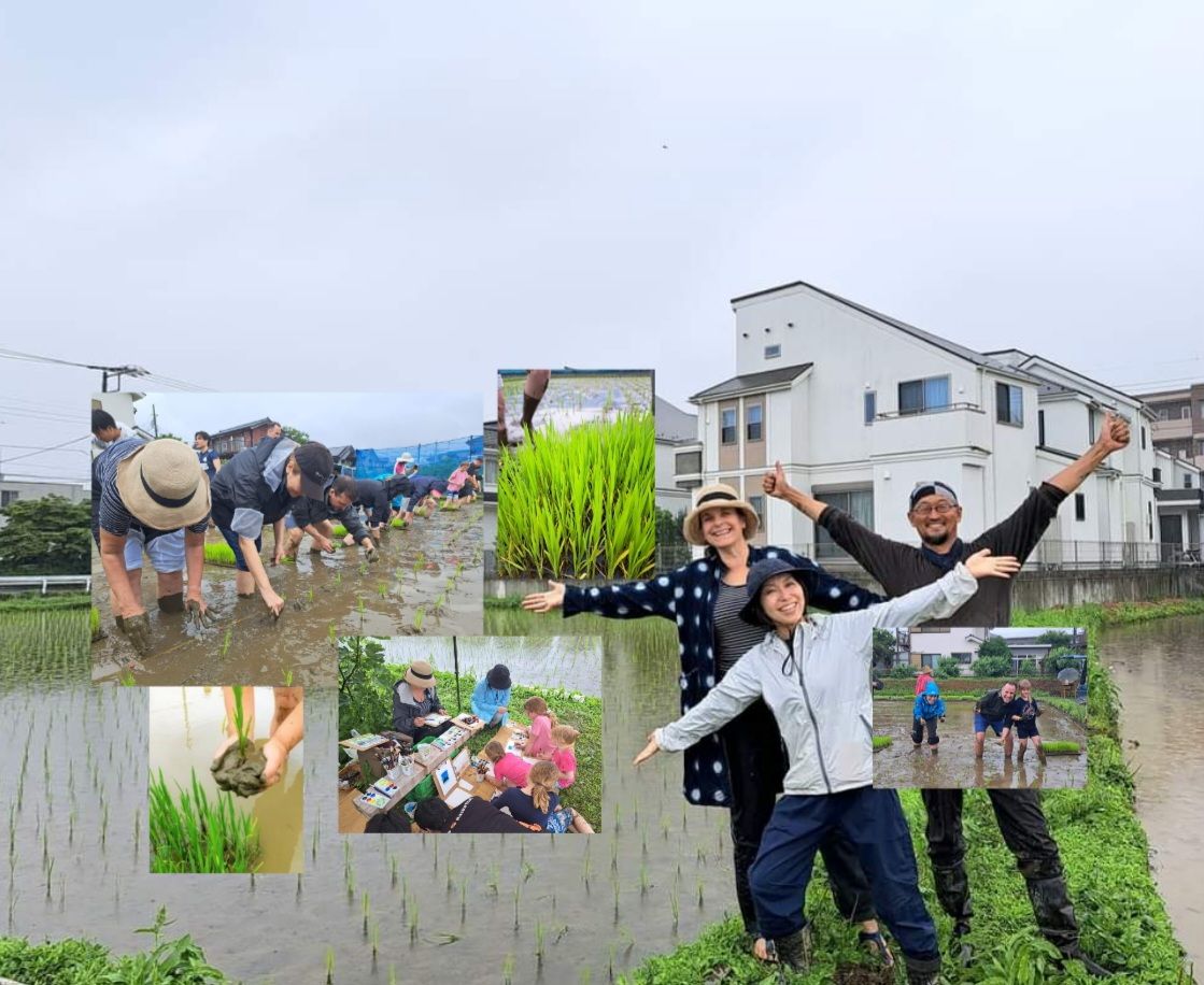 A Day of Rice Planting and Art