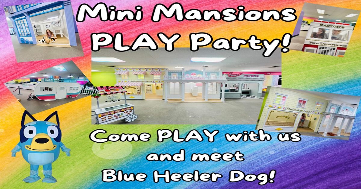 Mini Mansions PARTY & Blue Heeler Meet!