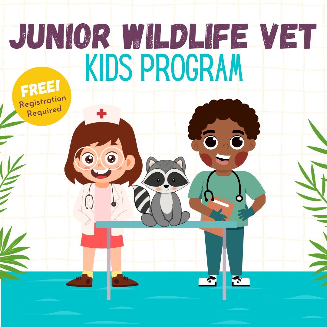 Junior Wildlife Vet Kids Program