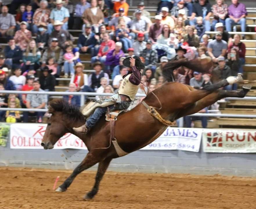 Black Gold Stampede Rodeo -2024