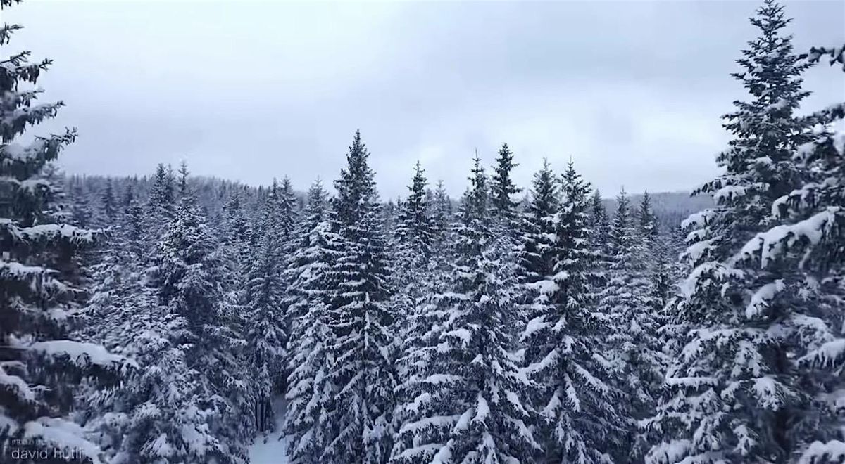 Winter Wonderland - LL PROM