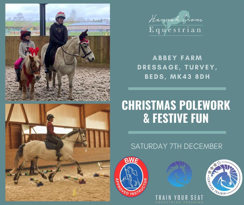 'Christmas Polework & Festive Fun' Clinic